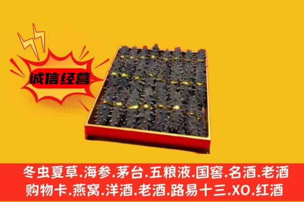 吐鲁番回收海参